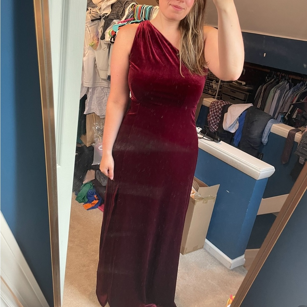 Birdy Grey One-Shoulder Velvet Dress in Cabernet